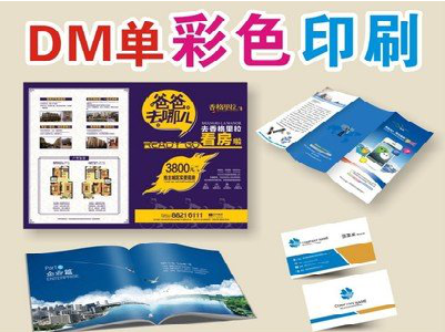 泰州单页印刷，色彩搭配简单。
